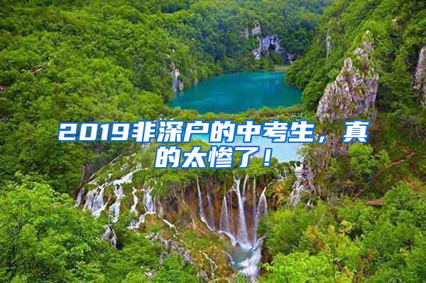 2019非深戶的中考生，真的太慘了！