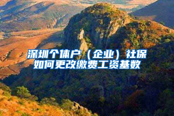 深圳個(gè)體戶（企業(yè)）社保如何更改繳費(fèi)工資基數(shù)