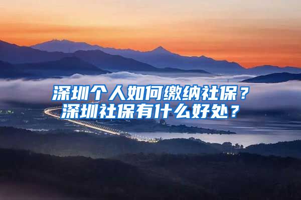 深圳個人如何繳納社保？深圳社保有什么好處？