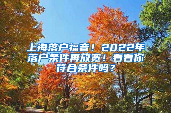 上海落戶福音！2022年落戶條件再放寬！看看你符合條件嗎？