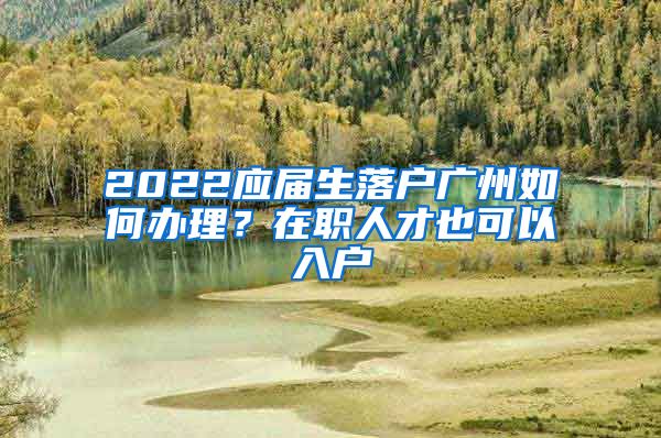 2022應屆生落戶廣州如何辦理？在職人才也可以入戶