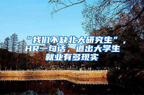 “我們不缺北大研究生”，HR一句話，道出大學(xué)生就業(yè)有多現(xiàn)實(shí)