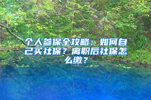 個(gè)人參保全攻略：如何自己買社保？離職后社保怎么繳？