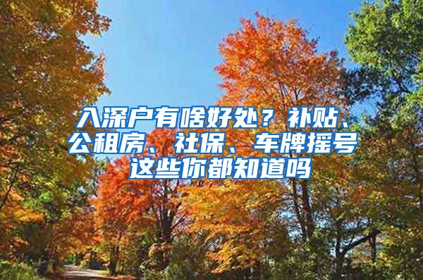 入深戶有啥好處？補(bǔ)貼、公租房、社保、車牌搖號(hào) 這些你都知道嗎