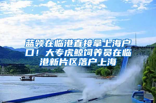 藍領在臨港直接拿上海戶口！大?；ⅥL飼養(yǎng)員在臨港新片區(qū)落戶上海