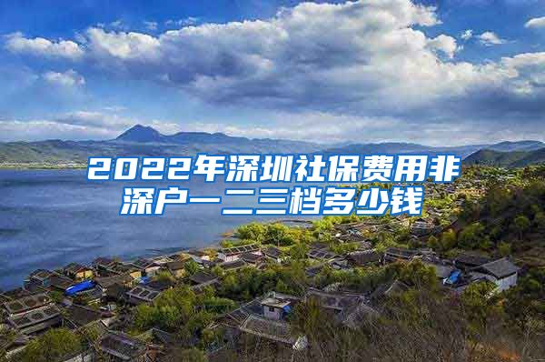 2022年深圳社保費(fèi)用非深戶一二三檔多少錢