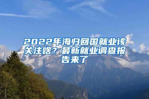 2022年海歸回國就業(yè)該關注啥？最新就業(yè)調(diào)查報告來了