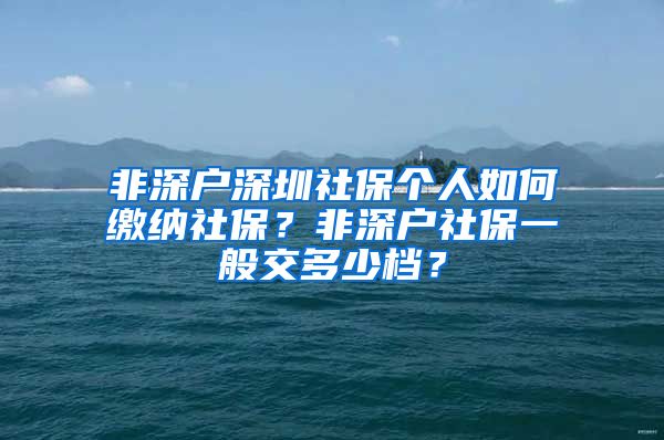 非深戶深圳社保個(gè)人如何繳納社保？非深戶社保一般交多少檔？