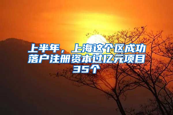 上半年，上海這個區(qū)成功落戶注冊資本過億元項目35個