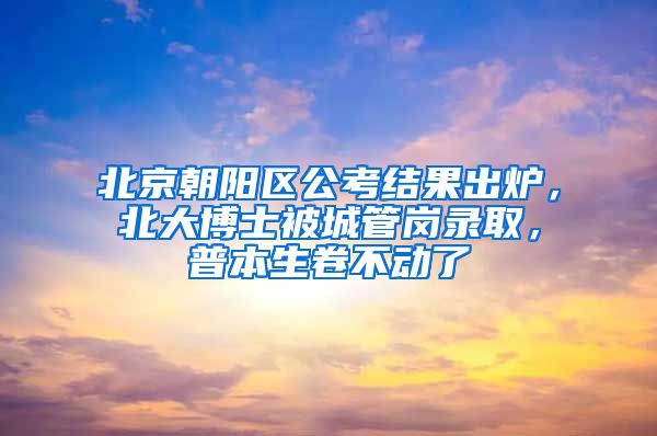 北京朝陽區(qū)公考結(jié)果出爐，北大博士被城管崗錄取，普本生卷不動了