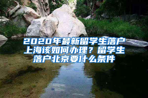 2020年最新留學生落戶上海該如何辦理？留學生落戶北京要什么條件