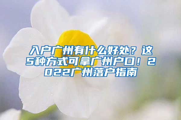 入戶廣州有什么好處？這5種方式可拿廣州戶口！2022廣州落戶指南